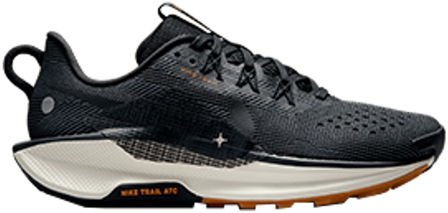 Nike Pegasus Trail 5 Women (DV3865-006) black