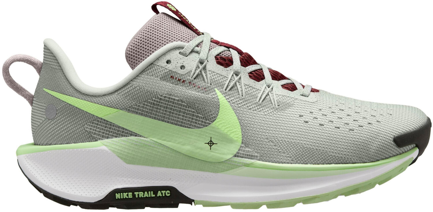 Nike Pegasus Trail 5 (DV3864-004) light silver/college grey
