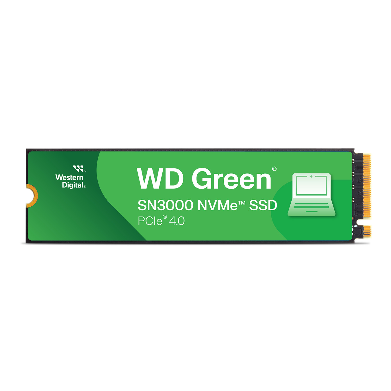 Western Digital Green SN3000 1TB