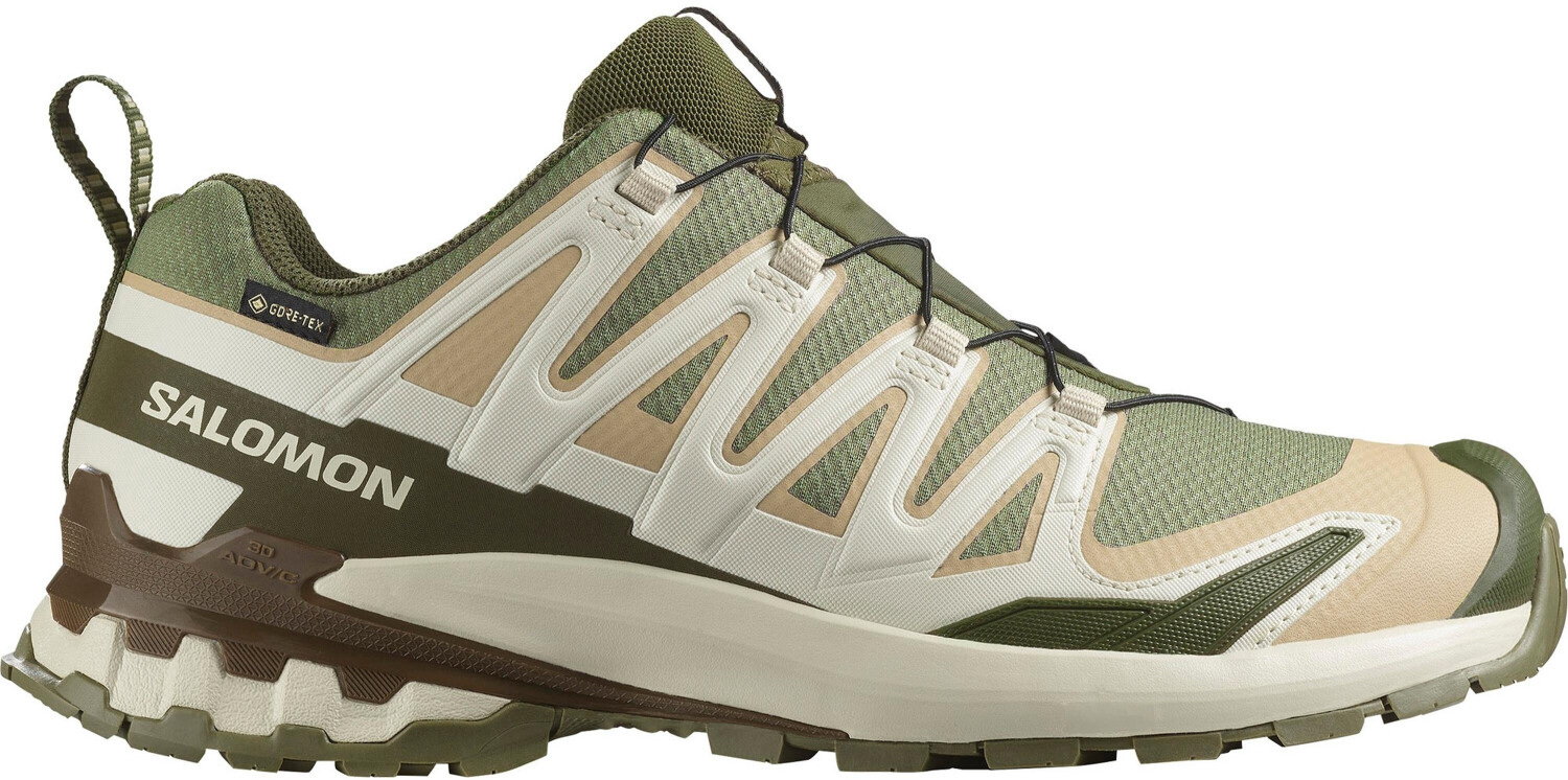 Salomon XA Pro 3D V9 GTX Multisport Shoes olive beige