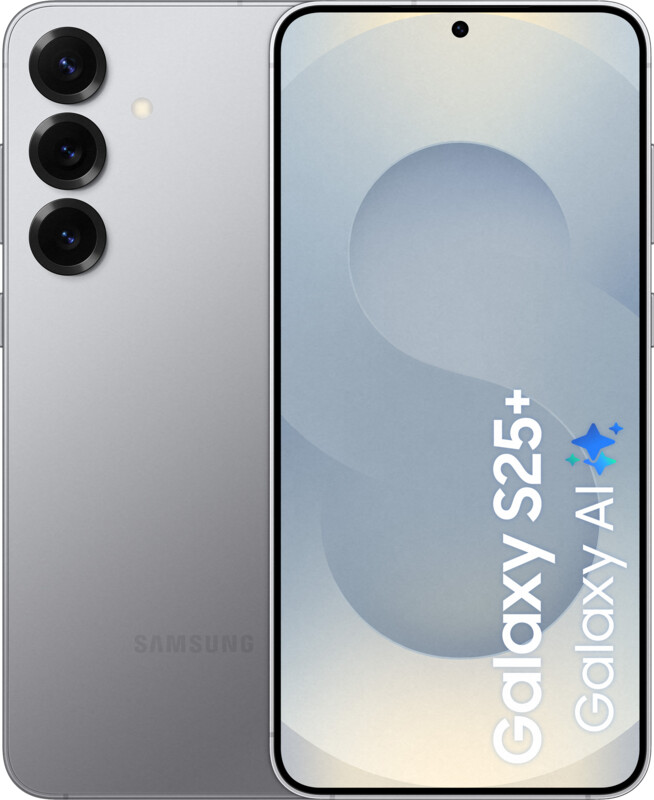 Samsung Galaxy S25 Plus 256 Go gris