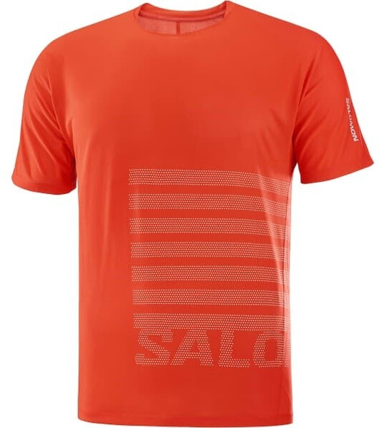Salomon Sense Aero Ss Tee Gfx M red