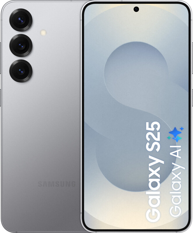 Samsung Galaxy S25 Version Entreprise 256 Go gris