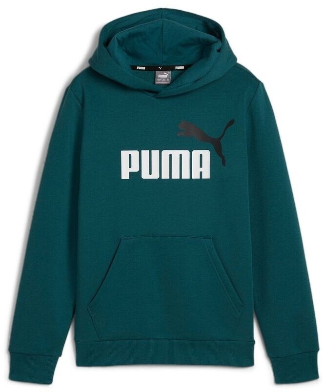 Puma Ess Col Big Logo Hoodie 586987-08-210
