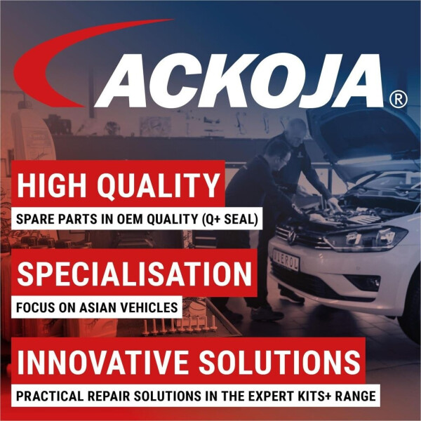 ACKOJA Filter Innenraumluft A38-30-0006 für Lexus Isuzu GS, Bild 5