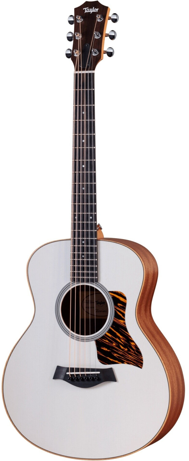 Taylor GS Mini-e Special