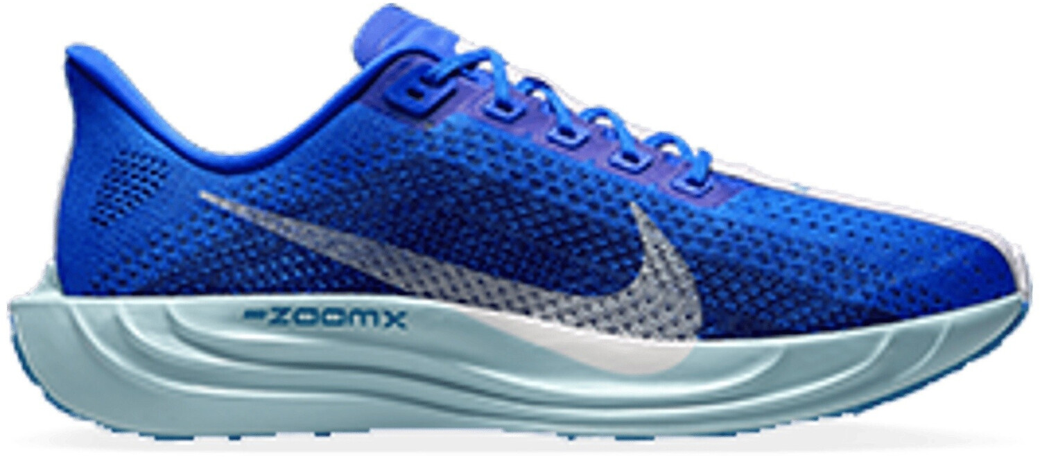 Nike Pegasus Plus CM blue