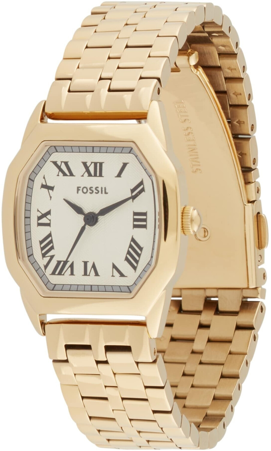 Fossil Harlow