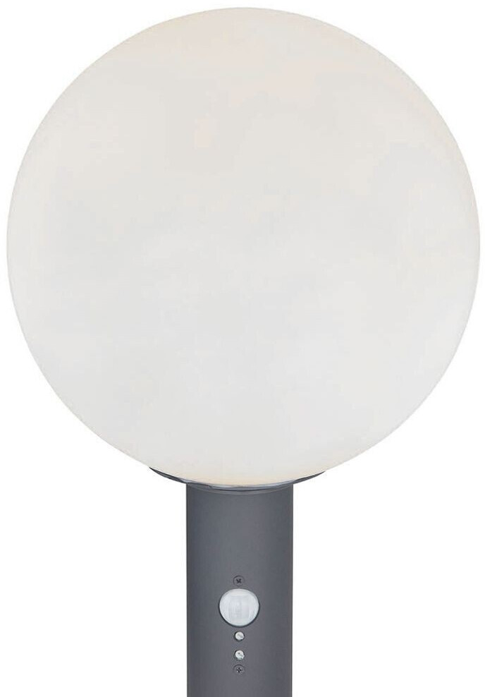 Globo 127561