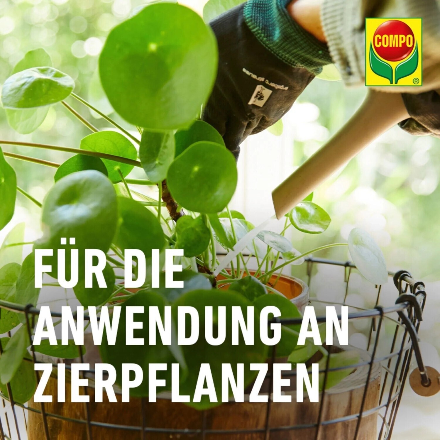 mehrjhrige blhflche saatgut Veitshchheimer Bienenweide