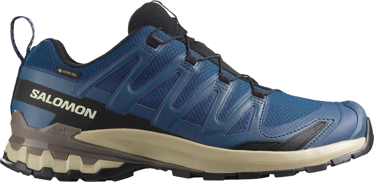 Salomon Xa Pro 3D V9 GTX Shoes blue black