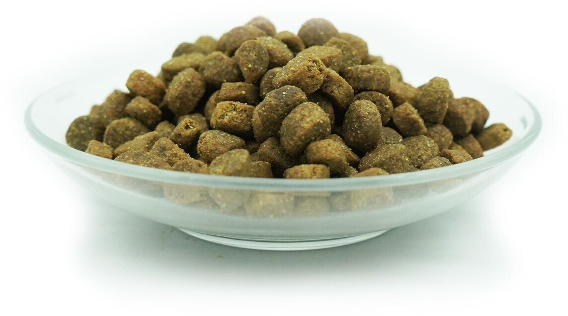 Bellfor Croquettes pour chien 2.5kg Bellfor Croquettes pour chien 2.5kg
