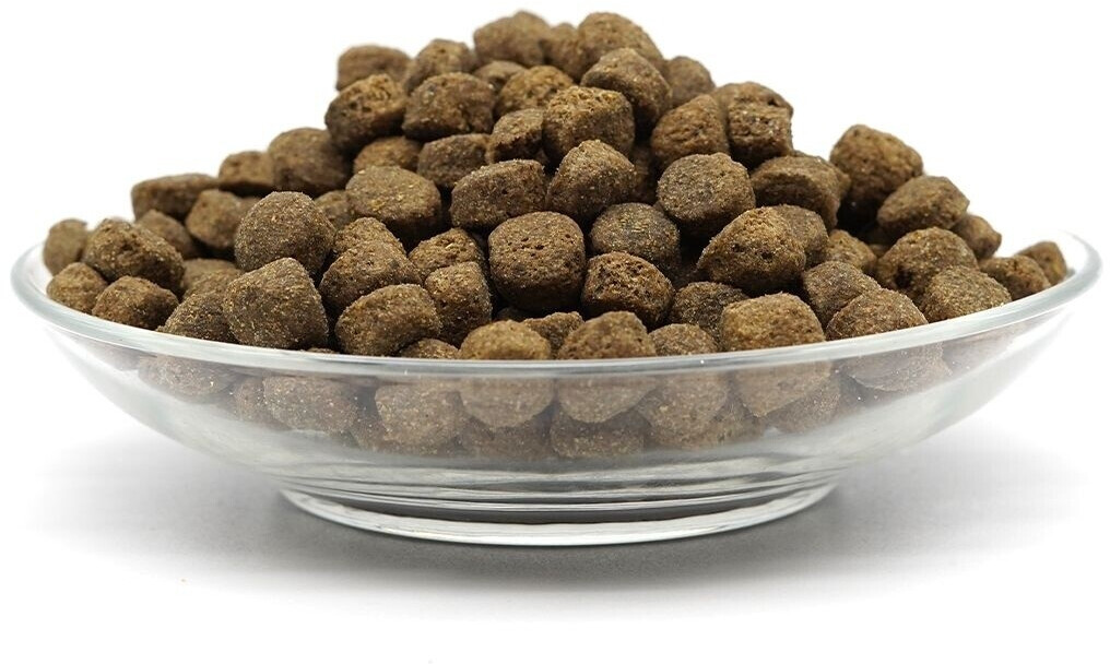 Bellfor Croquettes pour chien 2.5kg Bellfor Croquettes pour chien 2.5kg