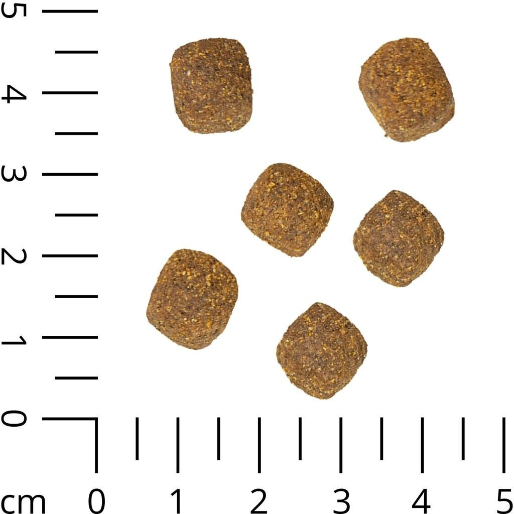Schecker Croquettes pour chien 12kg Schecker Croquettes pour chien 12kg