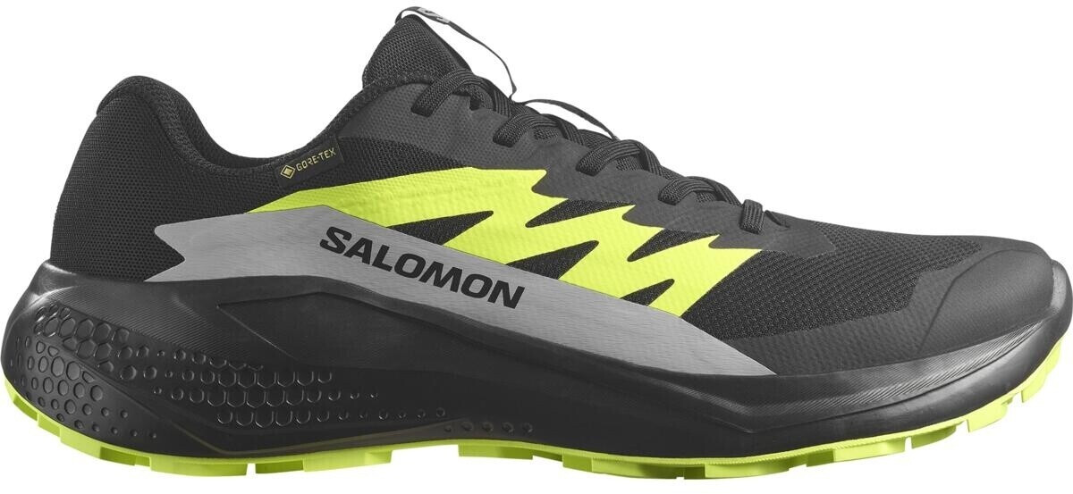 Salomon Alphaglide GTX