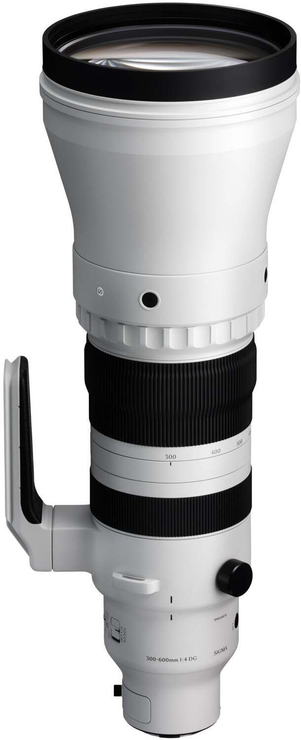 Sigma 300-600mm f4 DG OS Sports L-Mount