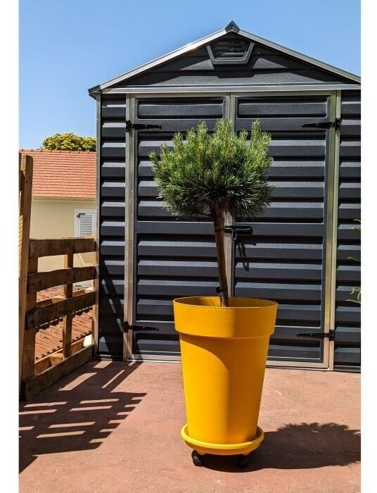 RiViERA Bac à fleurs Soleilla hauteur 53 cm jaune