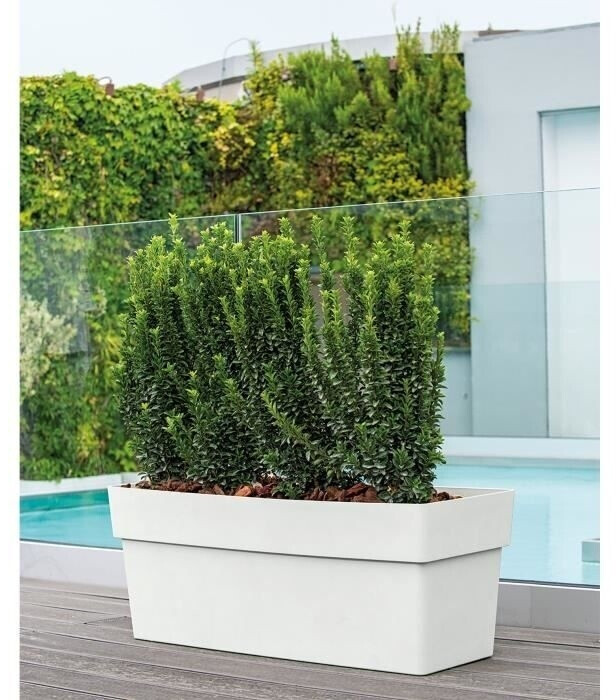 Deroma Muret Like R 99 x 38 cm blanc