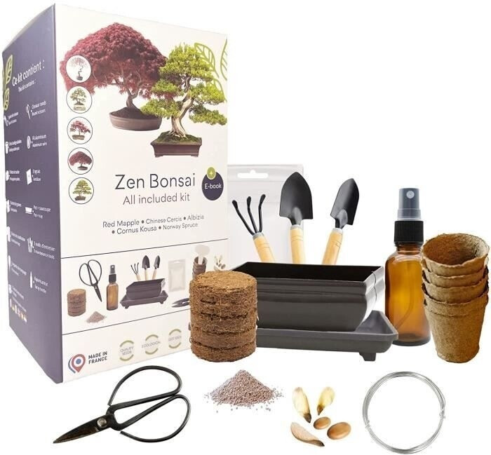Cultivea Kit Bonsaï Premium prêt à pousser