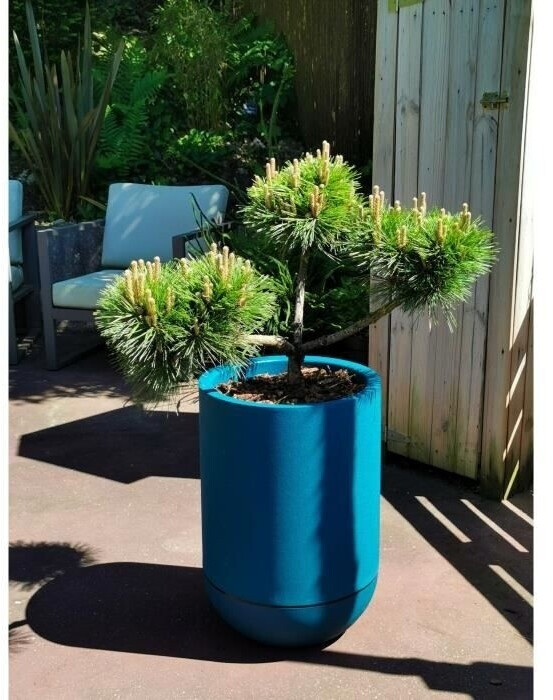 RiViERA Bac à fleurs rond Granit Tulipe 40 cm bleu marine