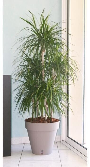 RiViERA Pot de fleurs Loft avec réserve d'eau rond 50 x 46 cm taupe