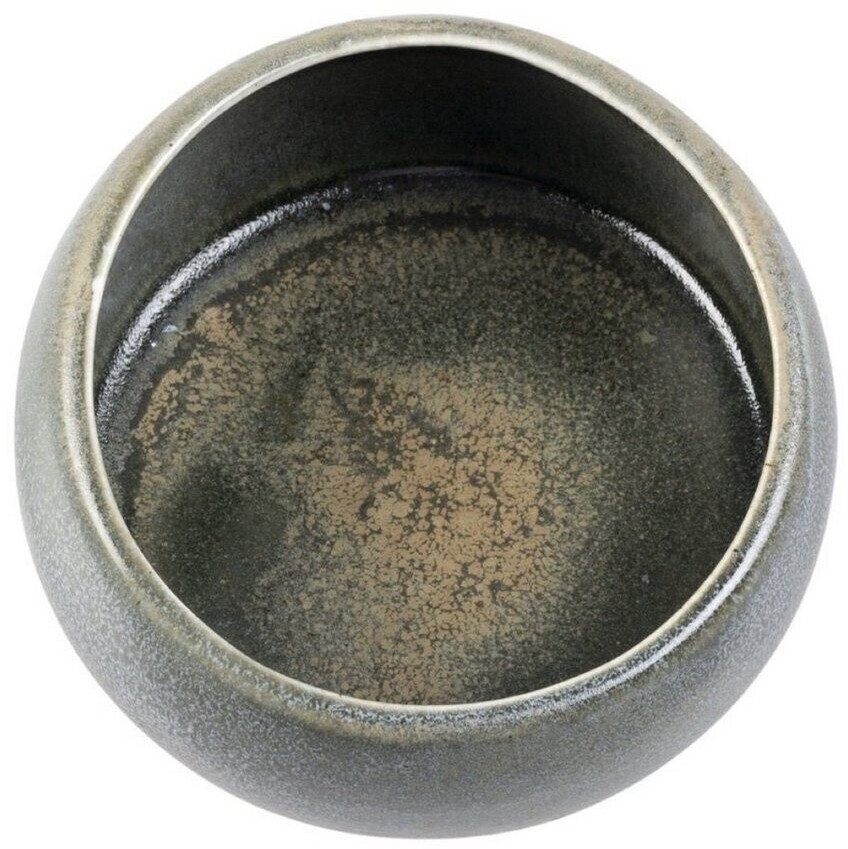 Duvo+ Gamelle pour chien Duvo+ Gamelle pour chien