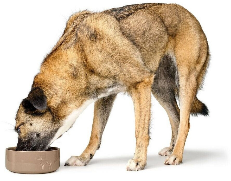 HUNTER Gamelle pour chien beige 350ml HUNTER Gamelle pour chien beige 350ml