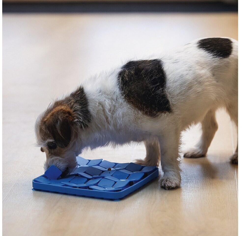 Beeztees Gamelle pour chien Beeztees Gamelle pour chien
