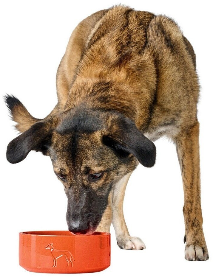 HUNTER Gamelle pour chien Orange 550ml