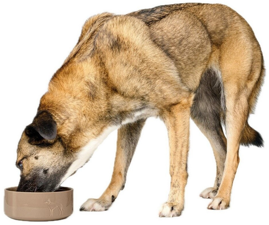 HUNTER Gamelle pour chien beige 2500ml HUNTER Gamelle pour chien beige 2500ml