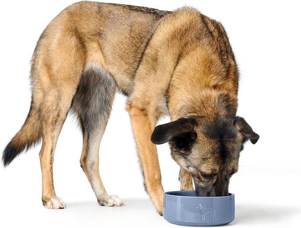 HUNTER Gamelle pour chien Dove Blue 1900ml HUNTER Gamelle pour chien Dove Blue 1900ml