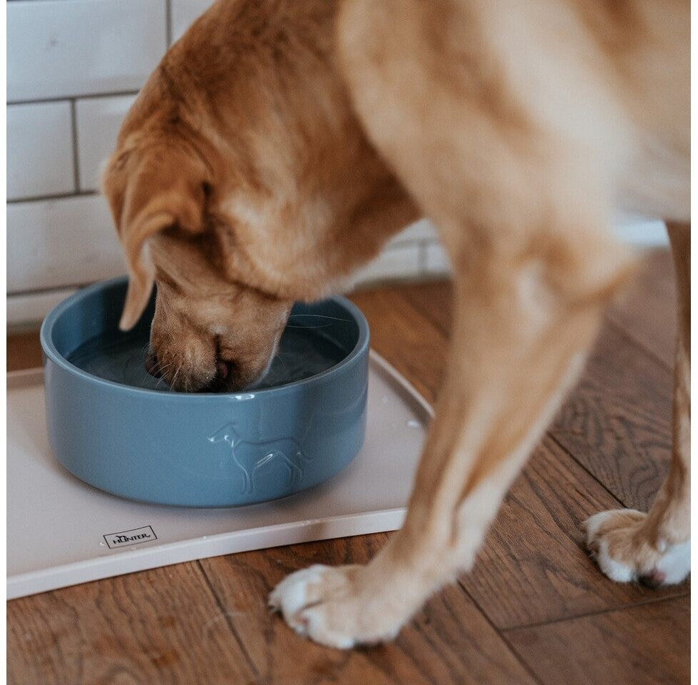 HUNTER Gamelle pour chien Dove Blue 2500ml HUNTER Gamelle pour chien Dove Blue 2500ml