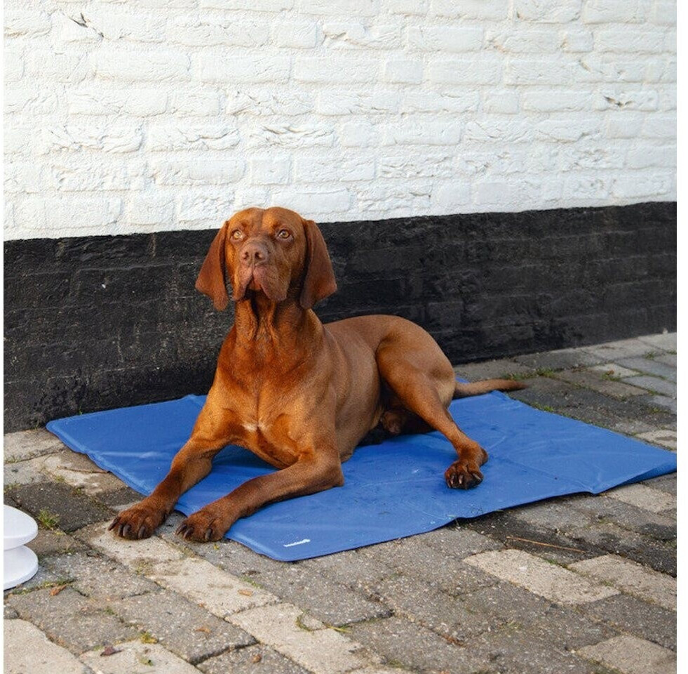 Beeztees Tapis rafraîchissant pour chien Beeztees Tapis rafraîchissant pour chien