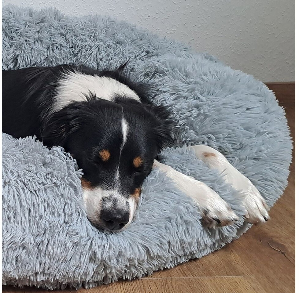 Nobby Lit pour chien