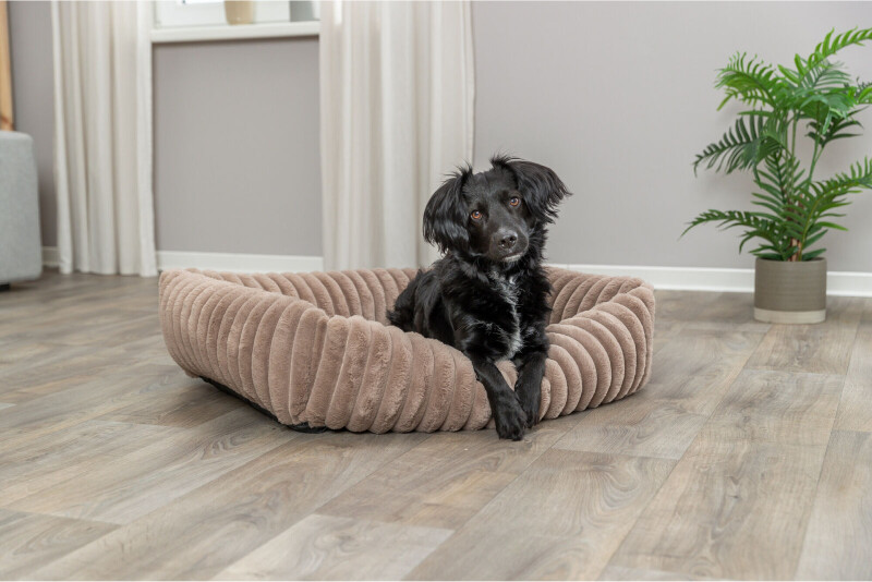 Trixie Lit pour chien 374027 Trixie Lit pour chien 374027