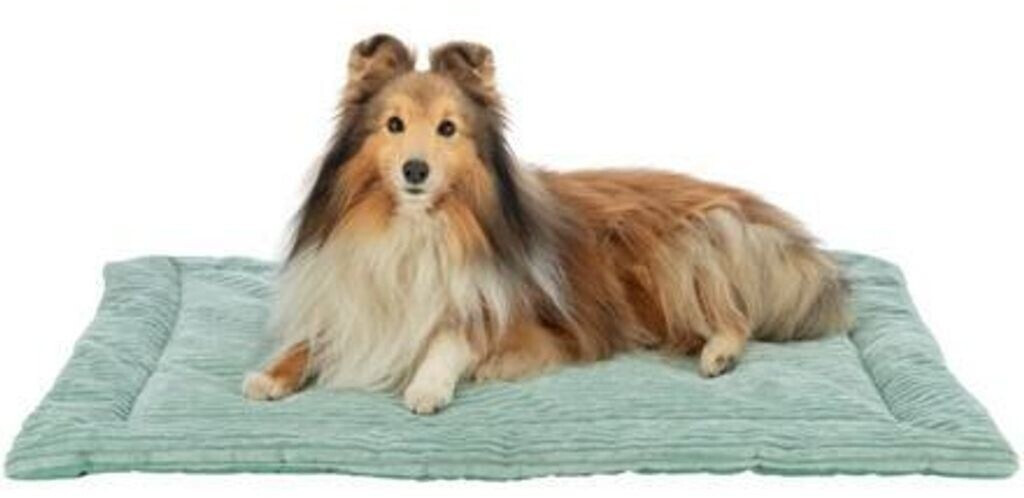 Trixie Tapis pour chien Trixie Tapis pour chien