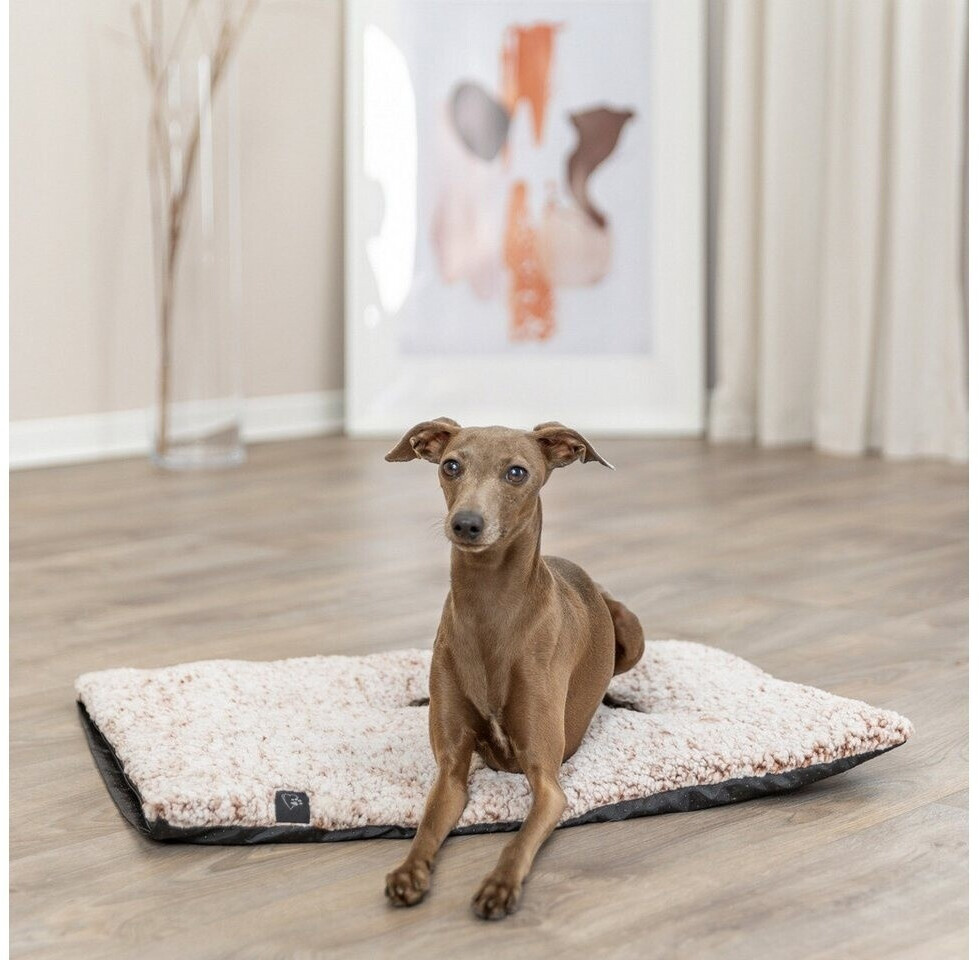 Trixie Tapis pour chien Trixie Tapis pour chien