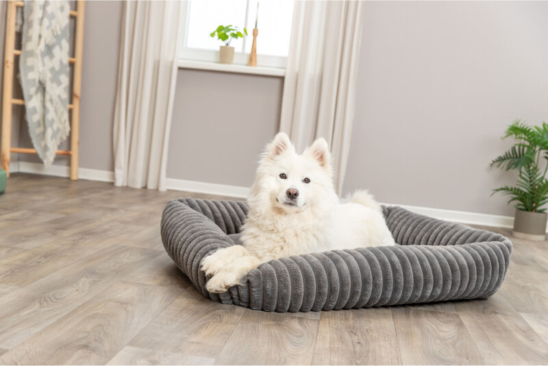 Trixie Lit pour chien 374022