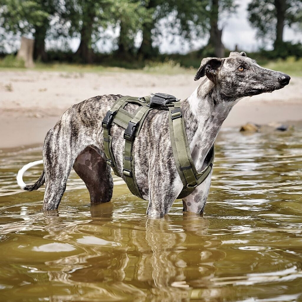 Anny-x Harnais pour chien M Olive
