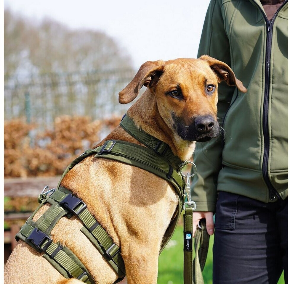 Anny-x Harnais pour chien S Olive