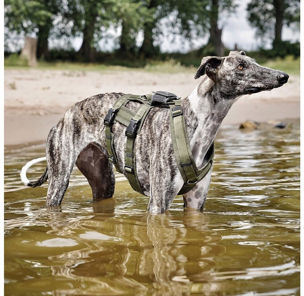 Anny-x Harnais pour chien S Olive