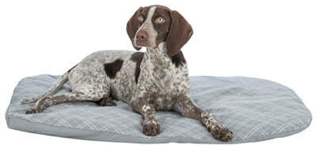 Trixie Coussin pour chien grey/white 80x60cm