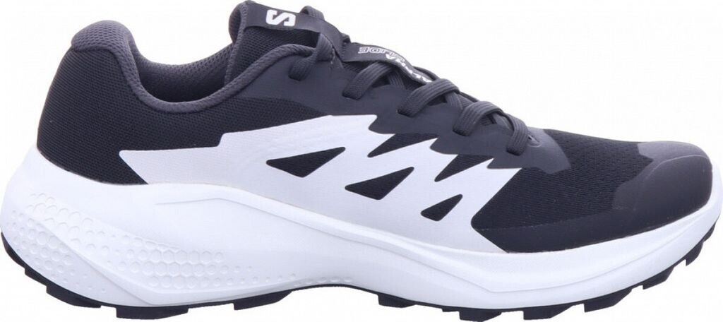 Salomon Alphaglide Trailrunning Shoes grey black