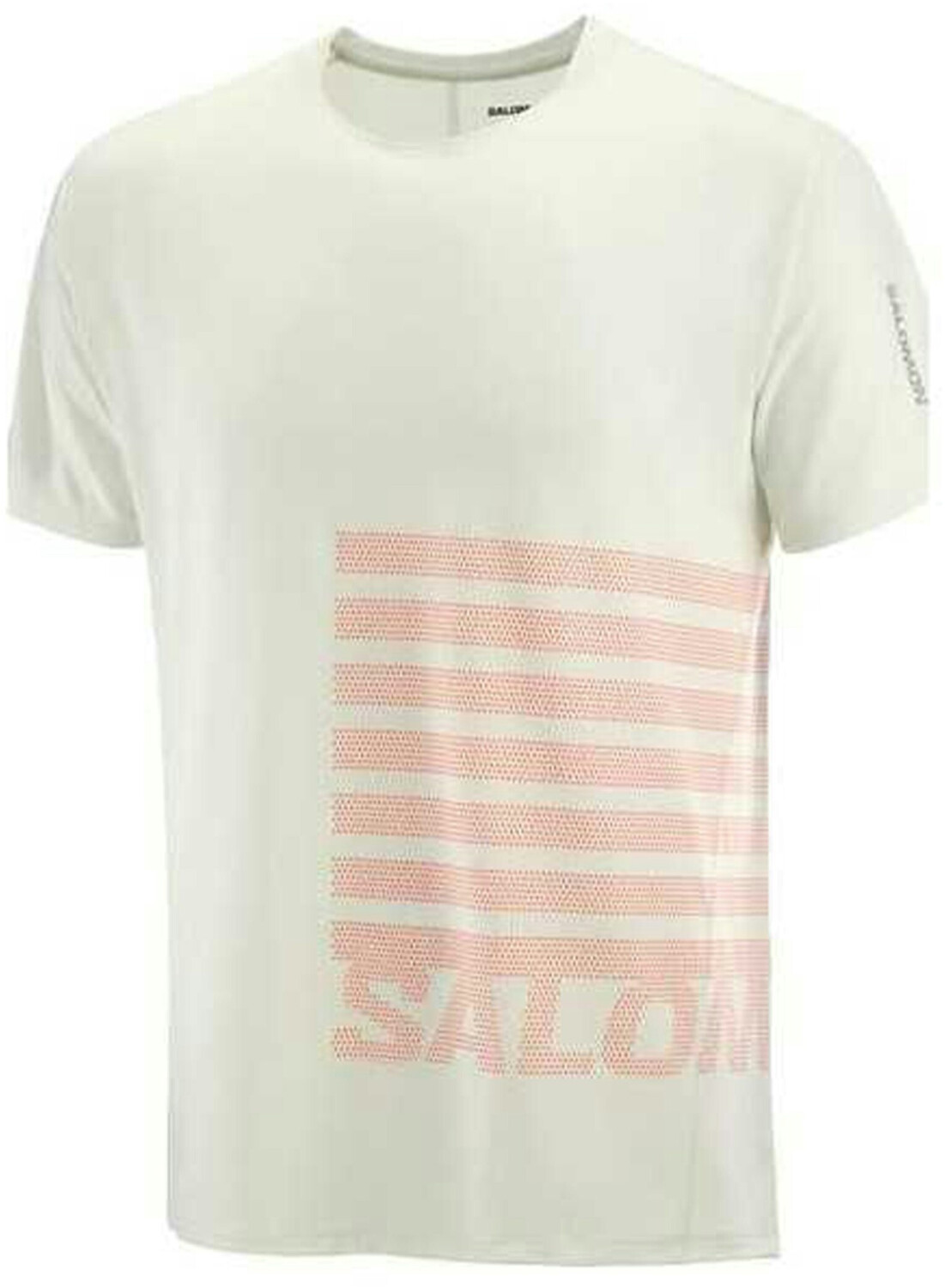 Salomon Sense Aero GFX T-Shirt icicle