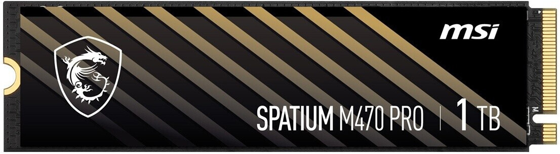 MSI SPATIUM M470 Pro 1TB