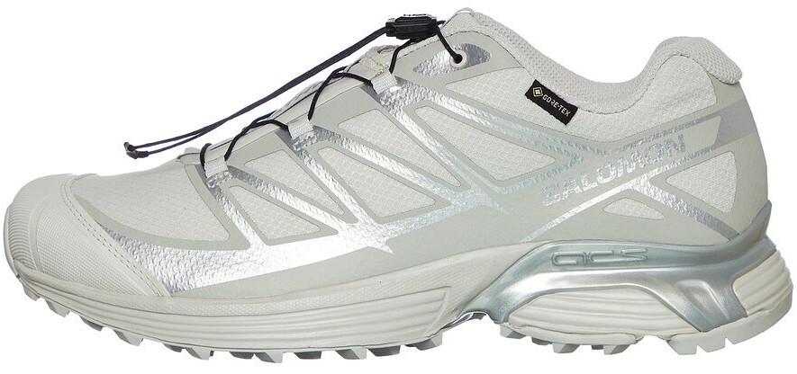 Salomon XT-Pathway Gore-Tex lunar rock alloy ftw silver