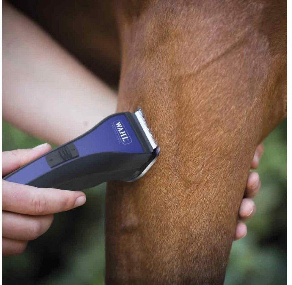 Wahl Tondeuse pour cheval Wahl Tondeuse pour cheval