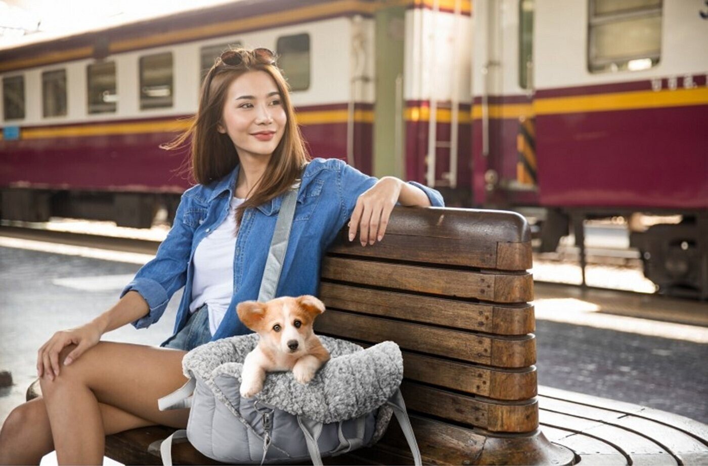 HobbyDog Sac de transport pour chat