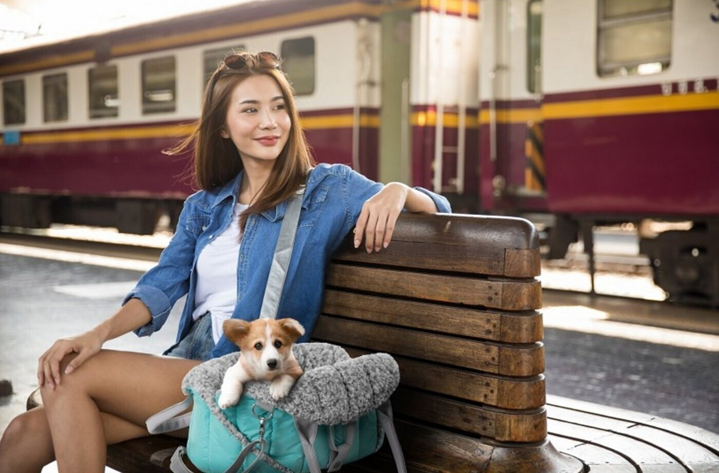HobbyDog Sac de transport pour chat HobbyDog Sac de transport pour chat