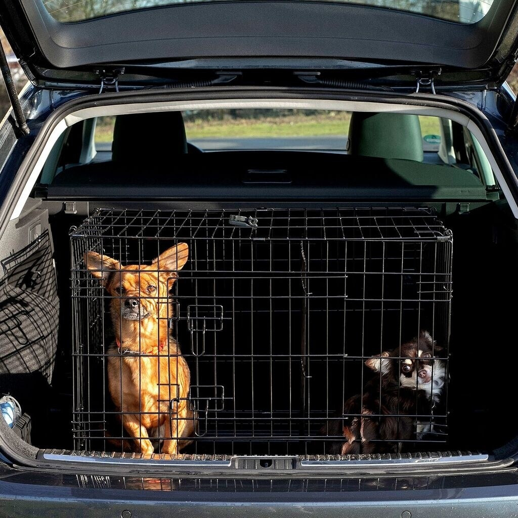 Lionto Cage de transport Lionto Cage de transport